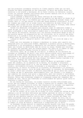 que les produjera contemplar envuelta en llamas aquella aldea que tan mala
acogida les había dispensado en dos ocasiones, lo mejor que podían hacer era
renunciar a tal placer y marcharse. En su fuero interno, no obstante, juraron
volver con fuerzas armadas suficientes para arrasar aquella zona en un radio de
varios kilómetros, convirtiéndolos en
tierra quemada y desprovista del menor vestigio de vida humana.
Habían buscado en vano al propietario de aquella voz que metió el miedo en el
cuerpo y puso en fuga a los hombres que tenían la misión de prender fuego a las
chozas, pero ni los que tenían la vista más aguda pudieron localizarlo. A raíz
del disparo que acabó con el árabe vieron una nubecilla de humo flotar en la
enramada, pero aunque se hizo una descarga cerrada sobre el follaje, nada indicó
que alguno de los proyectiles hubiera resultado efectivo.
Tarzán era demasiado inteligente para dejarse coger en semejante trampa y
antes de que los ecos de la detonación se hubieran desvanecido en el aire ya se
había trasladado a toda velocidad el hombre mono a otro árbol y se encontraba a
cien metros de distancia. Encontró allí una atalaya conveniente desde la que le
era posible espiar los preparativos de los incursores. Se le ocurrió que podía
divertirse a lo grande a costa de ellos, de modo que volvió a ponerse las manos
a ambos lados de la boca, a guisa de bocina, y gritó:
-¡Dejad el marfil! ¡Dejad el marfil! ¡El marfil no les sirve de nada a los
muertos!
Algún que otro manyuema se dispuso a abandonar su carga, pero aquello era
demasiado para los codiciosos árabes. Empezaron a proferir gritos y maldiciones,
encañonaron a los porteadores y amenazaron con una muerte instantánea a todo
aquel que tuviese la desdichada idea de soltar su carga. Pasaban por renunciar
al incendio del poblado, pero de ninguna manera les cabía en la cabeza la idea
de abandonar aquella inmensa fortuna en marfil... Antes la muerte.
Partieron, pues, de la aldea de los waziri. A hombros de los esclavos se
llevaban un cargamento de marfil cuyo valor hubiera podido servir para pagar el
rescate de veinte reyes. Marcharon hacia el norte, rumbo al selvático
asentamiento que habían establecido en una región salvaje e ignota del interior
del Congo, en lo más profundo del Gran Bosque. Por ambos flancos vigilaba a la
caravana un enemigo tan invisible como despiadado.
Dirigidos por Tarzán, los guerreros negros de Wazir se apostaban a ambos
lados del sendero, en la espesura de la maleza. Se situaban a intervalos
bastante distanciados entre sí y, una vez pasaba la columna, una flecha o un
venablo, certeramente dirigido, atravesaba a un manyuema o a un árabe. A
continuación, el waziri se fundía en la floresta, se adelantaba a la carrera y
ocupaba un nuevo puesto, cerca de donde debía pasar la caravana. No descargaban
su golpe a menos que tuviesen la absoluta seguridad de que el éxito era cierto y
el riesgo de que lo detectasen absolutamente nulo. Las flechas y los venablos
que cumplían tal misión eran pocos y espaciados, pero tan tenaces e inevitables
que los cargados porteadores de la columna se encontraban en un estado de pánico
perenne. Pánico que alimentaba siempre el traspasado cuerpo del compañero que
acababa de caer. Pánico que fomentaba la incertidumbre de ignorar quién sería el
siguiente y cuándo caería.
En una docena de ocasiones, los árabes tuvieron enormes dificultades para
evitar que sus hombres arrojasen la carga y huyeran por el sendero como conejos
asustados, corriendo hacia el norte. Así transcurrió la jornada: una espantosa
pesadilla para los saqueadores; un día fatigoso pero bien recompen
sado para los waziris. Al llegar la noche, los árabes montaron una tosca boma
en un pequeño claro, junto a un río, y se dispusieron a acampar.
De vez en cuando, en el curso de la noche, un rifle sonaba por encima de sus
cabezas y uno de los doce centinelas que habían apostado se venía al suelo. Tal
situación era insoportable para los invasores. Éstos, naturalmente, se daban
cuenta de que mediante aquella táctica iban a acabar borrados del mapa, sin
haber ocasionado siquiera una sola baja al enemigo. A pesar de ello, con la
recalcitrante avaricia propia del hombre blanco, los árabes siguieron aferrados
a su botín y cuando amaneció, obligaron a los desmoralizados manyuemas a echarse
al hombro la carga de muerte y adentrarse a trompicones por la selva.
La diezmada columna mantuvo su espantosa marcha durante tres días. No pasaba
hora en que una flecha fatal o un venablo implacable dejara de cobrar su tributo
de muerte. Las noches eran pavorosas a causa del ladrido de aquel rifle
invisible que hacía que el turno de guardia equivaliese para el centinela a una

 