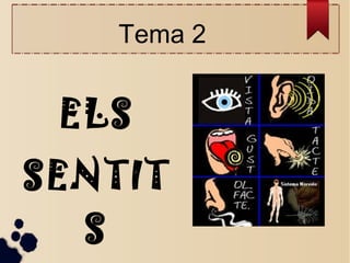 Tema 2

ELS
SENTITS

 
