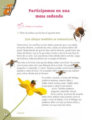 Lenguaje
16
Participemos en una
mesa redonda
Trabajen con el profesor
1. Pidan al profesor que les lea el siguiente texto:
¡Las abejas también se comunican!
Hasta ahora, los científicos se han dado cuenta de que si una abeja
encuentra alimento, va donde las otras y baila una danza dentro del
panal. Dependiendo de qué tan lejos esté el alimento, puede hacer dos
clases de danza: una en la que traza círculos y otra en la que hace la
forma de un ocho. Con esa danza indica dónde está la comida. Luego
de la danza, todas las demás van a recoger el alimento.
Pero ésta es la única cosa que las abejas saben comunicar. No pueden
comunicarse sobre otra cosa diferente de la comida. No pueden
preguntar, ni responder, ni narrar. Tampoco pueden comunicarse sobre el
pasado o sobre el futuro. Ni se pueden referir a la danza que realizan
para indicar dónde está el alimento.
En cambio, nosotros, a través del diálogo,
podemos expresar nuestras ideas y
hablar sobre muchas cosas. Hablar sobre
lo que pasó y sobre lo que podría 	
ocurrir. También podemos 		
preguntar, responder, discutir, 	 	
	 narrar cuentos, ponernos de acuerdo
sobre cómo realizar mejor eventos como el
juego o como el trabajo. Con el diálogo nos
podemos referir a lo que ya hemos dicho y
también a lo que otros han dicho.
Guía 20
A
 