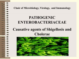 Chair of Microbiology, Virology, and Immunology
PATHOGENIC
ENTEROBACTERIACEAE
Causative agents of Shigellosis and
Cholerae
 