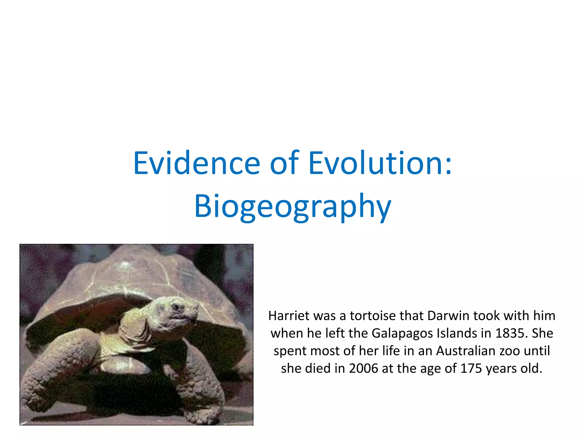 Evidence of Evolution:
Biogeography
Harriet was a tortoise that Darwin took with him
when he left the Galapagos Islands in 1835. She
spent most of her life in an Australian zoo until
she died in 2006 at the age of 175 years old.