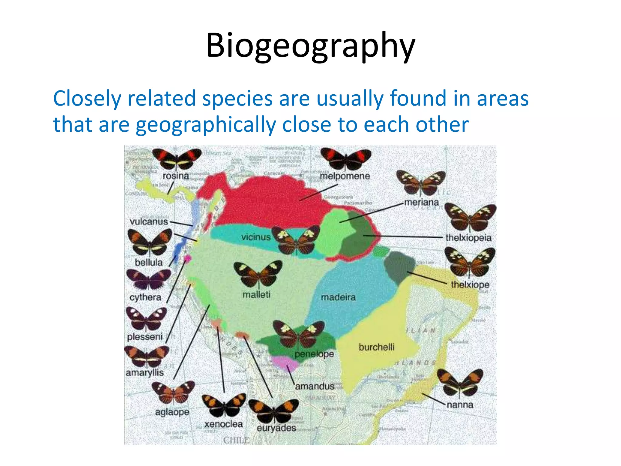 Biogeography
Closely related species are usually found in areas
that are geographically close to each other