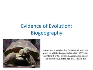 Evidence of Evolution:
Biogeography
Harriet was a tortoise that Darwin took with him
when he left the Galapagos Islands in 1835. She
spent most of her life in an Australian zoo until
she died in 2006 at the age of 175 years old.

 