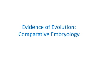 Evidence of Evolution:
Comparative Embryology

 