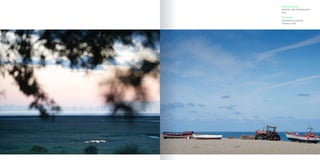 Opposite page
Byfords Cafe & Restaurant
Holt
This page
Strawberry picking
Wiveton, Holt
 