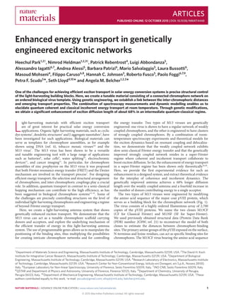 ARTICLES
PUBLISHED ONLINE: 12 OCTOBER 2015 | DOI: 10.1038/NMAT4448
Enhanced energy transport in genetically
engineered excitonic networks
Heechul Park1,2†
, Nimrod Heldman1,2,3†
, Patrick Rebentrost4
, Luigi Abbondanza5
,
Alessandro Iagatti6,7
, Andrea Alessi5
, Barbara Patrizi6
, Mario Salvalaggio5
, Laura Bussotti6
,
Masoud Mohseni4
, Filippo Caruso6,8
, Hannah C. Johnsen3
, Roberto Fusco5
, Paolo Foggi6,7,9
,
Petra F. Scudo5
*, Seth Lloyd4,10
* and Angela M. Belcher1,2,3
*
One of the challenges for achieving efficient exciton transport in solar energy conversion systems is precise structural control
of the light-harvesting building blocks. Here, we create a tunable material consisting of a connected chromophore network on
an ordered biological virus template. Using genetic engineering, we establish a link between the inter-chromophoric distances
and emerging transport properties. The combination of spectroscopy measurements and dynamic modelling enables us to
elucidate quantum coherent and classical incoherent energy transport at room temperature. Through genetic modiﬁcations,
we obtain a signiﬁcant enhancement of exciton diffusion length of about 68% in an intermediate quantum-classical regime.
L
ight-harvesting materials with eﬃcient exciton transport
are of great interest for practical solar energy conversion
applications. Organic light-harvesting materials, such as cyclic
dye systems1
, dendritic structures2
and J-aggregate nanotubes3
, have
been investigated for such applications. Biological materials can
serve as templates for chromophore assemblies, as for example
shown using DNA (ref. 4), tobacco mosaic viruses5,6
and the
M13 virus7
. The M13 virus has been shown to be a versatile
and tunable engineering tool with a large range of applications
such as batteries8
, solar cells9
, water splitting10
, electrochromic
devices11
, and cancer imaging12
. In particular, for chromophore
assemblies of zinc porphyrins on the M13 virus it was proposed
that both Förster resonance energy transfer (FRET) and the Dexter
mechanism are involved in the transport process7
. For designing
eﬃcient energy transport, the selection and structural arrangement
of chromophores, and inter-chromophoric couplings play a crucial
role. In addition, quantum transport in contrast to a semi-classical
hopping mechanism can contribute to the high eﬃciency, as has
been suggested in biological chromophore systems13–19
. Some of
the challenges are precisely controlling structures on the level of
individual light-harvesting chromophores and engineering a regime
of beyond-Förster energy transport.
Here, we create a light-harvesting antenna system that shows
genetically enhanced exciton transport. We demonstrate that the
M13 virus can act as a tunable chromophore scaﬀold carrying
donors and acceptors, and explore the underlying mechanism of
the eﬃcient transfer of energy in this light-harvesting antenna
system. The use of programmable genes allows us to manipulate the
positioning of the binding sites, thus multiplying the possibilities
for creating intricate chromophore networks and for controlling
the energy transfer. Two types of M13 viruses are genetically
engineered: one virus is shown to have a regular network of weakly
coupled chromophores, and the other is engineered to have clusters
of strongly coupled chromophores. By a combination of room-
temperature spectroscopy experiments and theoretical models for
the exciton dynamics based on resonant coupling and delocaliza-
tion, we demonstrate that the weakly coupled network exhibits
slow semi-classical Förster energy transfer and that the genetically
improved strongly coupled network resides in a super-Förster
regime where coherent and incoherent transport collaborate to
boost exciton diﬀusion. So far, the enhancement of energy transport
in a super-Förster regime has been shown only theoretically16,20
.
Here, we provide the first experimental evidence for such an
enhancement in a designed system, and extract theoretical evidence
for the interplay of coherence and incoherent dynamics. The
genetically improved antenna achieves a 68% longer diﬀusion
length over the weakly coupled antenna and a fourfold increase in
the number of donors contributing energy to a single acceptor.
The two types of M13 viruses were engineered by modifying
the amino acid sequence of the major coat pVIII protein, which
serves as a building block for the chromophore network (Fig. 1).
The virus consists of a highly ordered filamentous array of 2,700
copies of the pVIII proteins. We name the two clones M13CF
(CF for Classical Förster) and M13SF (SF for Super-Förster).
We used previously obtained structural data (Protein Data Bank
(PDB) number 2C0W; ref. 21) to reconstruct the model of both
clones to estimate the distances between chromophore-binding
sites. The primary amine groups of the pVIII exposed on the surface,
N-terminus and lysine residues, can act as specific binding sites for
chromophores. The M13CF virus bearing the amino acid sequence
1Department of Materials Science and Engineering, Massachusetts Institute of Technology, Cambridge, Massachusetts 02139, USA. 2The David H. Koch
Institute for Integrative Cancer Research, Massachusetts Institute of Technology, Cambridge, Massachusetts 02139, USA. 3Department of Biological
Engineering, Massachusetts Institute of Technology, Cambridge, Massachusetts 02139, USA. 4Research Laboratory of Electronics, Massachusetts Institute
of Technology, Cambridge, Massachusetts 02139, USA. 5Research Center for Non-Conventional Energy, Istituto eni Donegani, eni S.p.A., Novara 28100,
Italy. 6European Laboratory for Non-linear Spectroscopy, University of Florence, Sesto Fiorentino 50019, Italy. 7INO CNR, Sesto Fiorentino 50019, Italy.
8QSTAR and Department of Physics and Astronomy, University of Florence, Florence 50125, Italy. 9Department of Chemistry, University of Perugia,
Perugia 06123, Italy. 10Department of Mechanical Engineering, Massachusetts Institute of Technology, Cambridge, Massachusetts 02139, USA. †These
authors contributed equally to this work. *e-mail: pscudo@gmail.com; slloyd@mit.edu; belcher@mit.edu
NATURE MATERIALS | ADVANCE ONLINE PUBLICATION | www.nature.com/naturematerials 1
© 2015 Macmillan Publishers Limited. All rights reserved
 