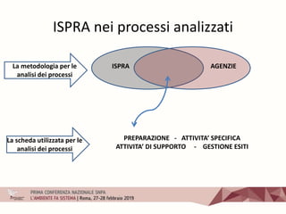 ISPRA nei processi analizzati
La metodologia per le
analisi dei processi
ISPRA AGENZIE
La scheda utilizzata per le
analisi dei processi
PREPARAZIONE - ATTIVITA’ SPECIFICA
ATTIVITA’ DI SUPPORTO - GESTIONE ESITI
 