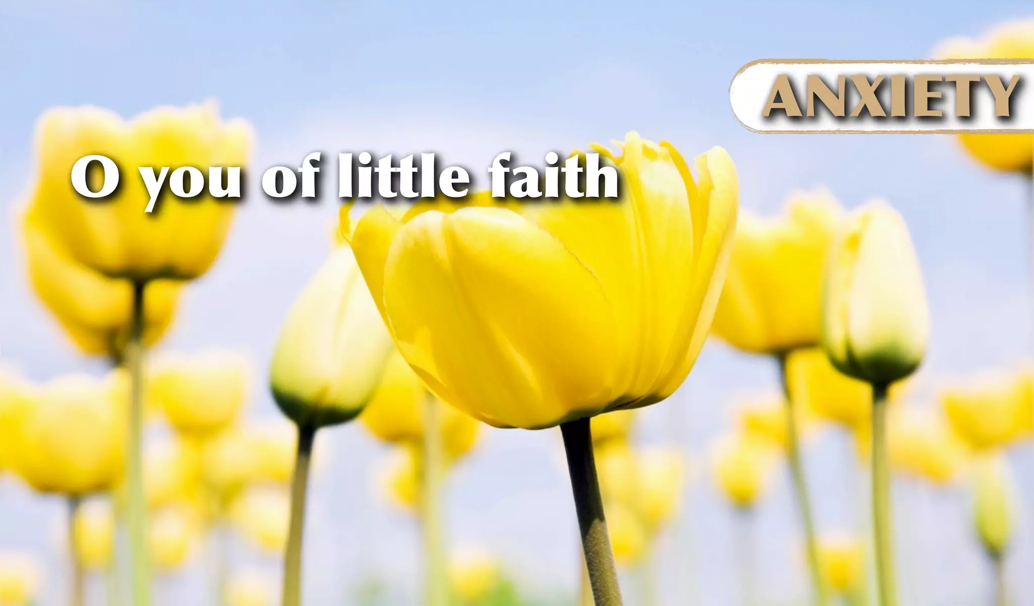 O you of little faith
ANXIETY
 
