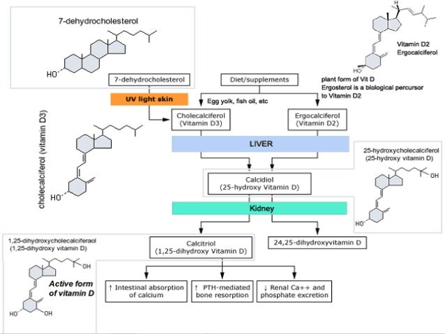 Vitamin D Sunshine Vitamin Medicinal Chemistry By P