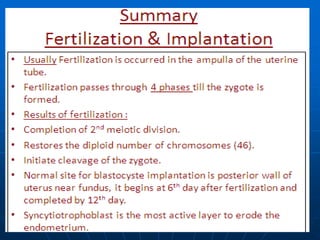 02 Fertilization & Implantation.ppt