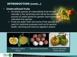 Underutilized Country Status Reports on Underutilized Crops by Mohamad Roff, Malaysia ...