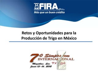 Retos y Oportunidades para la
Producción de Trigo en México
 