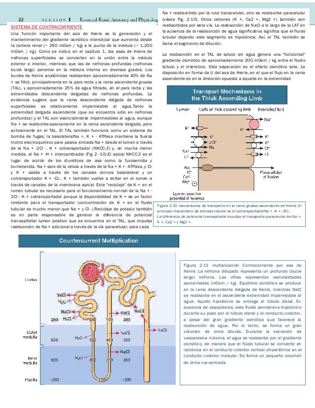 Cap 02 Fisiologia Renal Comprehensive Clinical Nephrology
