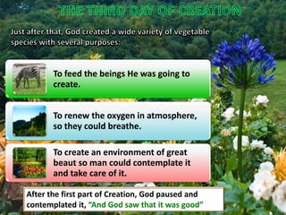 To feed the beings He was going to
create.
To renew the oxygen in atmosphere,
so they could breathe.
To create an environment of great
beaut so man could contemplate it
and take care of it.
After the first part of Creation, God paused and
contemplated it, “And God saw that it was good”

 