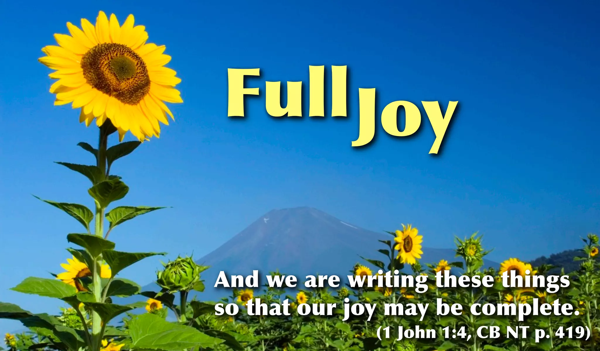 Full Joy

And we are writing these things
so that our joy may be complete.
              (1 John 1:4, CB NT p. 419)
 
