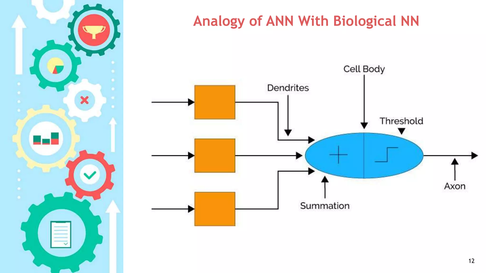 Analogy of ANN With Biological NN
12
 