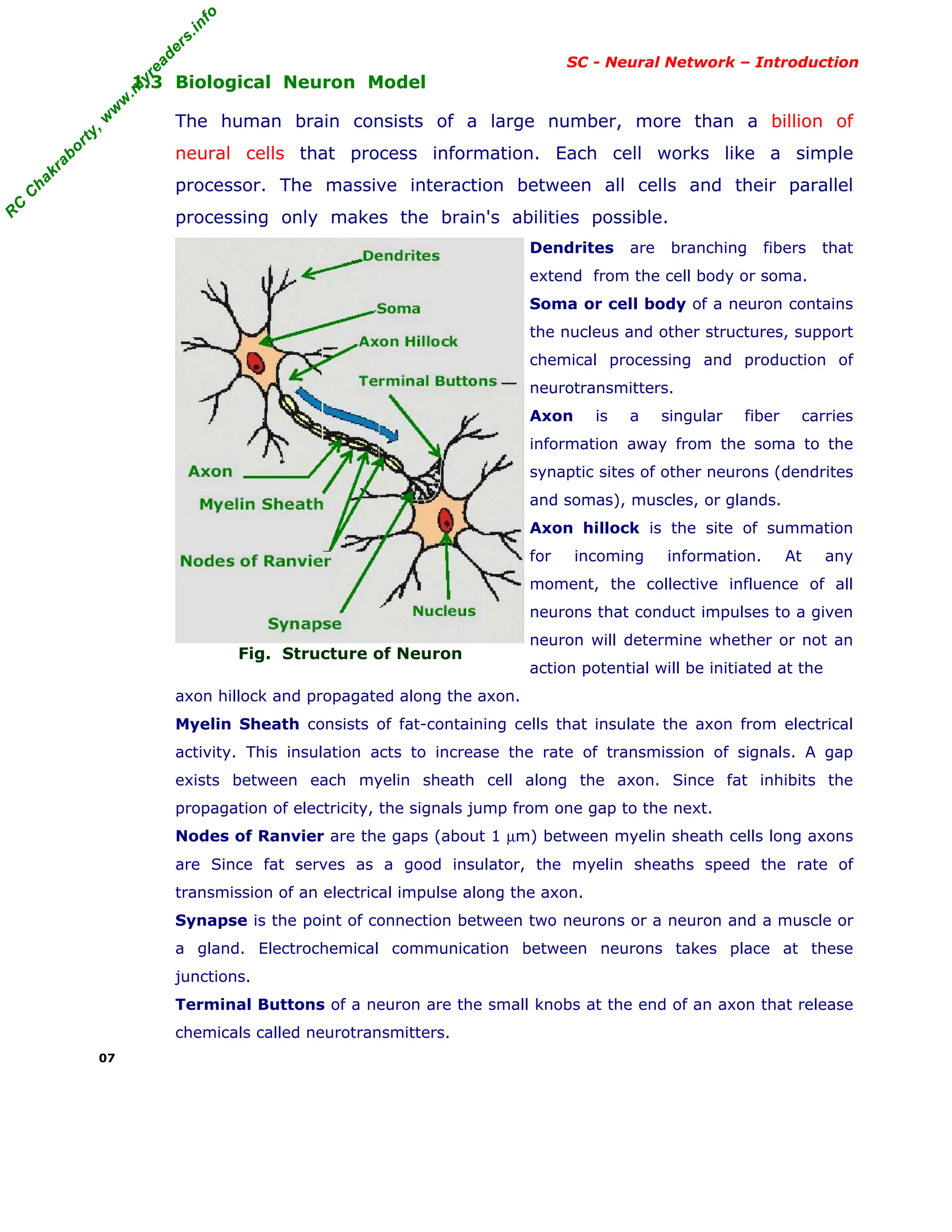 R
C
C
h
a
k
r
a
b
o
r
t
y
,
w
w
w
.
m
y
r
e
a
d
e
r
s
.
i
n
f
o
R
C
C
h
a
k
r
a
b
o
r
t
y
,
w
w
w
.
m
y
r
e
a
d
e
r
s
.
i
n
f
o
SC - Neural Network – Introduction
1.3 Biological Neuron Model
The human brain consists of a large number, more than a billion of
neural cells that process information. Each cell works like a simple
processor. The massive interaction between all cells and their parallel
processing only makes the brain's abilities possible.
Fig. Structure of Neuron
Dendrites are branching fibers that
extend from the cell body or soma.
Soma or cell body of a neuron contains
the nucleus and other structures, support
chemical processing and production of
neurotransmitters.
Axon is a singular fiber carries
information away from the soma to the
synaptic sites of other neurons (dendrites
and somas), muscles, or glands.
Axon hillock is the site of summation
for incoming information. At any
moment, the collective influence of all
neurons that conduct impulses to a given
neuron will determine whether or not an
action potential will be initiated at the
axon hillock and propagated along the axon.
Myelin Sheath consists of fat-containing cells that insulate the axon from electrical
activity. This insulation acts to increase the rate of transmission of signals. A gap
exists between each myelin sheath cell along the axon. Since fat inhibits the
propagation of electricity, the signals jump from one gap to the next.
Nodes of Ranvier are the gaps (about 1 µm) between myelin sheath cells long axons
are Since fat serves as a good insulator, the myelin sheaths speed the rate of
transmission of an electrical impulse along the axon.
Synapse is the point of connection between two neurons or a neuron and a muscle or
a gland. Electrochemical communication between neurons takes place at these
junctions.
Terminal Buttons of a neuron are the small knobs at the end of an axon that release
chemicals called neurotransmitters.
07
 
