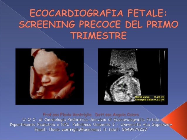 02 F Ventriglia Ecografia Precoce