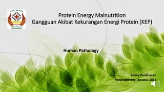 Protein Energy Malnutrition
Gangguan Akibat Kekurangan Energi Protein (KEP)
Human Pathology
Emmy Kardinasari
Pangkalpinang, Agustus 2023
 