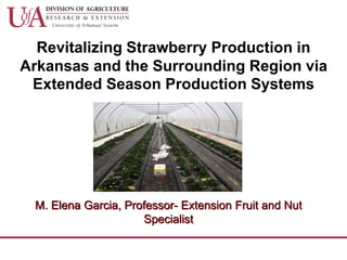 Revitalizing Strawberry Production in
Arkansas and the Surrounding Region via
Extended Season Production Systems
M. Elena Garcia, Professor- Extension Fruit and Nut
Specialist
 