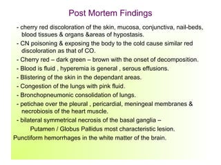 Post Mortem Findings
- cherry red discoloration of the skin, mucosa, conjunctiva, nail-beds,
blood tissues & organs &areas of hypostasis.
- CN poisoning & exposing the body to the cold cause similar red
discoloration as that of CO.
- Cherry red – dark green – brown with the onset of decomposition.
- Blood is fluid , hyperemia is general , serous effusions.
- Blistering of the skin in the dependant areas.
- Congestion of the lungs with pink fluid.
- Bronchopneumonic consolidation of lungs.
- petichae over the pleural , pericardial, meningeal membranes &
necrobiosis of the heart muscle.
- bilateral symmetrical necrosis of the basal ganglia –
Putamen / Globus Pallidus most characteristic lesion.
Punctiform hemorrhages in the white matter of the brain.
 