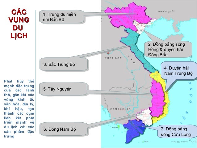 Th trung forex vit nam