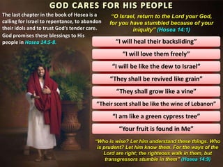 The last chapter in the book of Hosea is a
calling for Israel to repentance, to abandon
their idols and to trust God’s tender care.
God promises these blessings to His
people in Hosea 14:5-8.

“O Israel, return to the Lord your God,
for you have stumbled because of your
iniquity” (Hosea 14:1)

“I will heal their backsliding”
“I will love them freely”
“I will be like the dew to Israel”

“They shall be revived like grain”
“They shall grow like a vine”
“Their scent shall be like the wine of Lebanon”

“I am like a green cypress tree”
“Your fruit is found in Me”
“Who is wise? Let him understand these things. Who
is prudent? Let him know them. For the ways of the
Lord are right; the righteous walk in them, but
transgressors stumble in them” (Hosea 14:9)

 