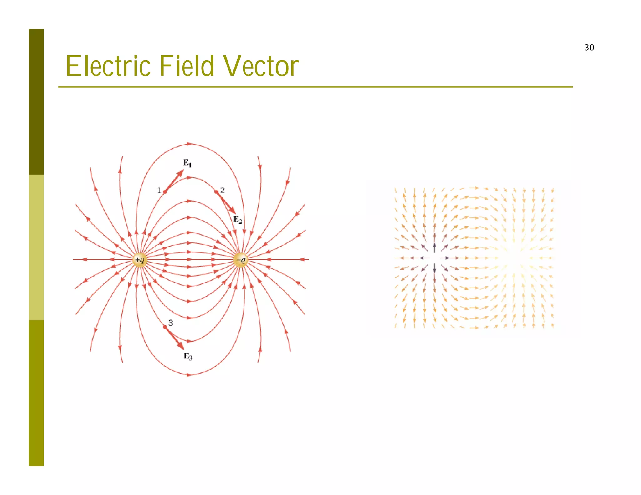 30
Electric Field Vector
 