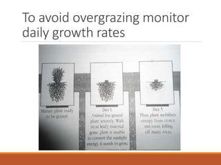 Grazing for Soil Health | PPTX