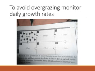 Grazing for Soil Health | PPTX