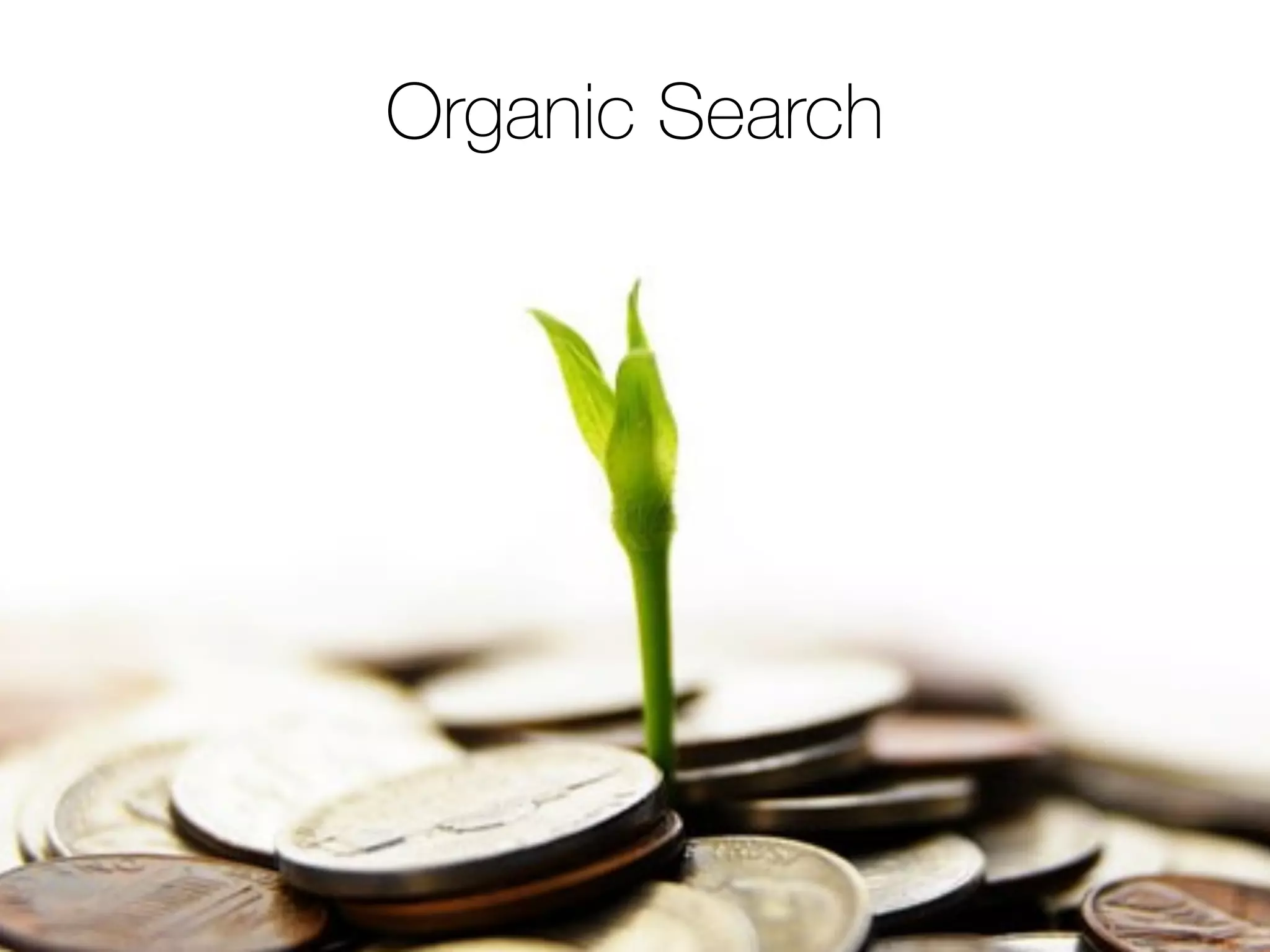Organic Search
 