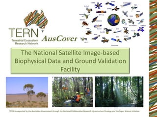 AusCover
  The National Satellite Image-based
Biophysical Data and Ground Validation
                Facility
 