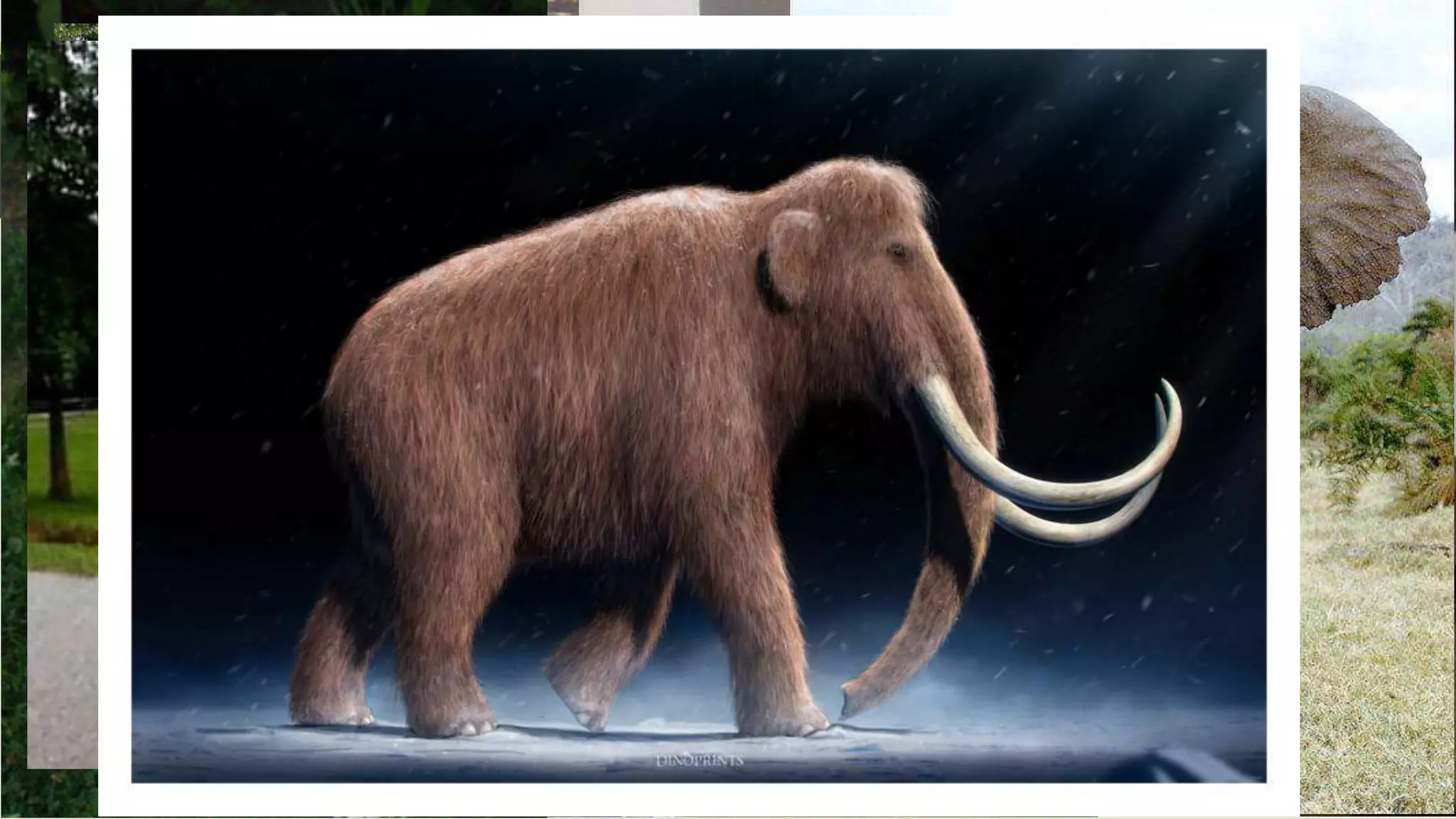 Voting On Our Classroom Pet
 What kind of pet are we going with? Let’s decide.
 