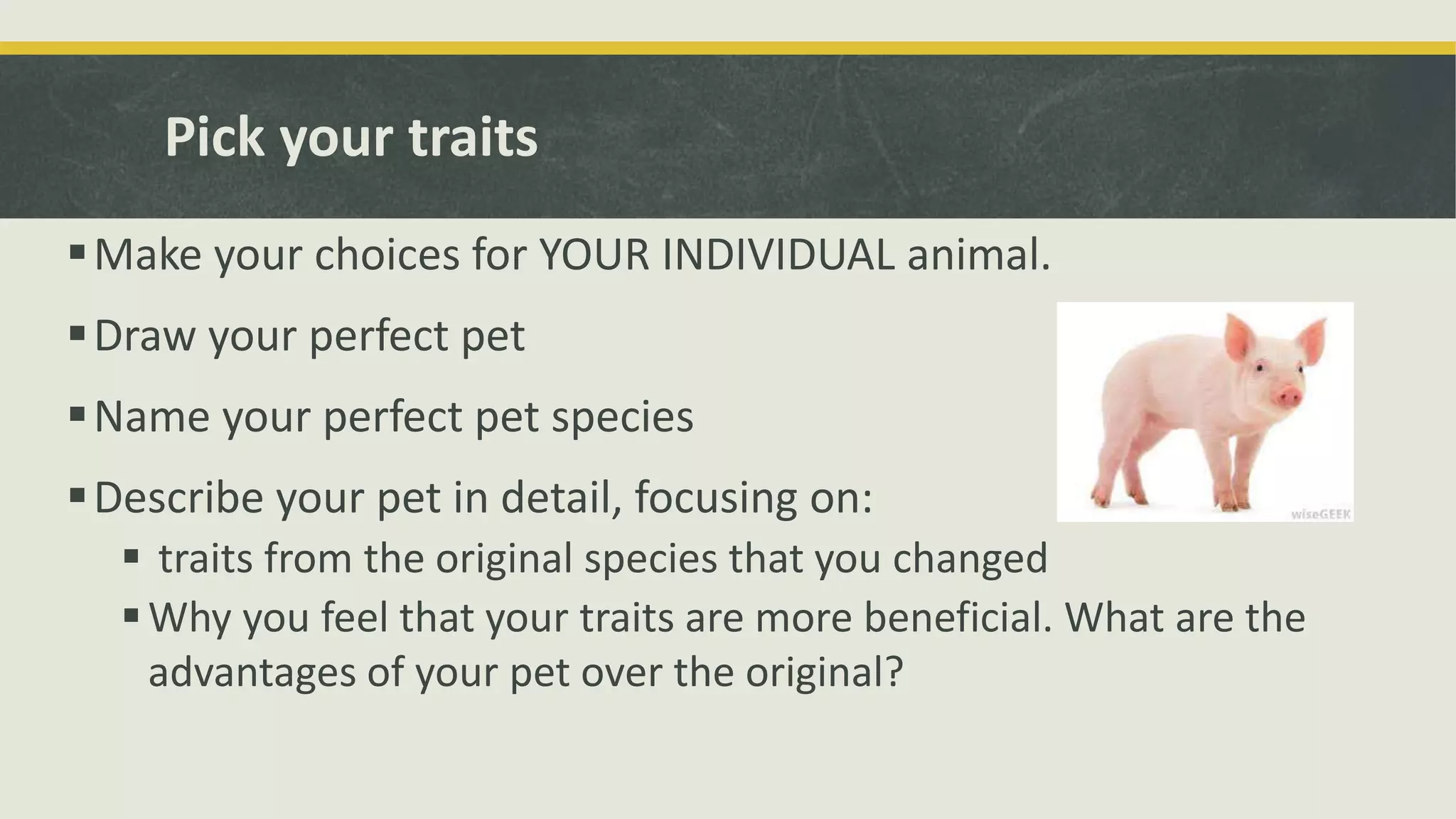 Pick your traits
Make your choices for YOUR INDIVIDUAL animal.
Draw your perfect pet
Name your perfect pet species
Describe your pet in detail, focusing on:
 traits from the original species that you changed
Why you feel that your traits are more beneficial. What are the
advantages of your pet over the original?
 