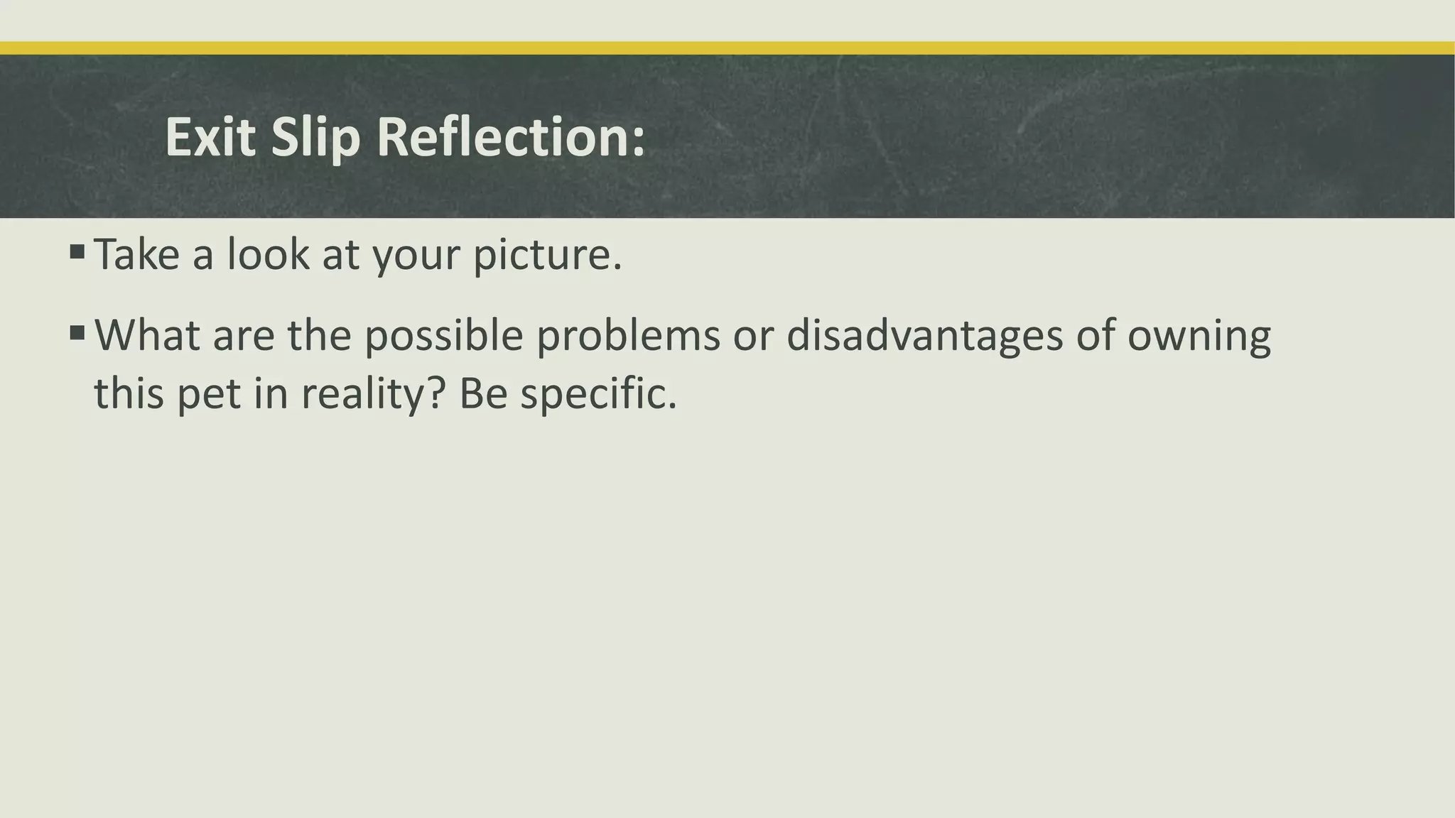 Exit Slip Reflection:
Take a look at your picture.
What are the possible problems or disadvantages of owning
this pet in reality? Be specific.
 