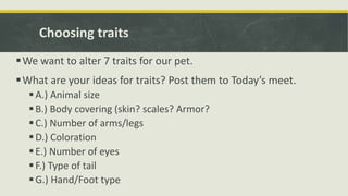 Choosing traits
We want to alter 7 traits for our pet.
What are your ideas for traits? Post them to Today’s meet.
A.) Animal size
B.) Body covering (skin? scales? Armor?
C.) Number of arms/legs
D.) Coloration
E.) Number of eyes
F.) Type of tail
G.) Hand/Foot type
 