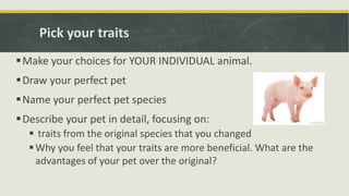 Pick your traits
Make your choices for YOUR INDIVIDUAL animal.
Draw your perfect pet
Name your perfect pet species
Describe your pet in detail, focusing on:
 traits from the original species that you changed
Why you feel that your traits are more beneficial. What are the
advantages of your pet over the original?
 