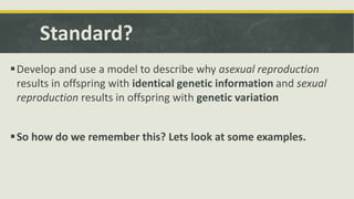 Standard?
Develop and use a model to describe why asexual reproduction
results in offspring with identical genetic information and sexual
reproduction results in offspring with genetic variation
So how do we remember this? Lets look at some examples.
 