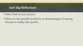 Exit Slip Reflection:
Take a look at your picture.
What are the possible problems or disadvantages of owning
this pet in reality? Be specific.
 
