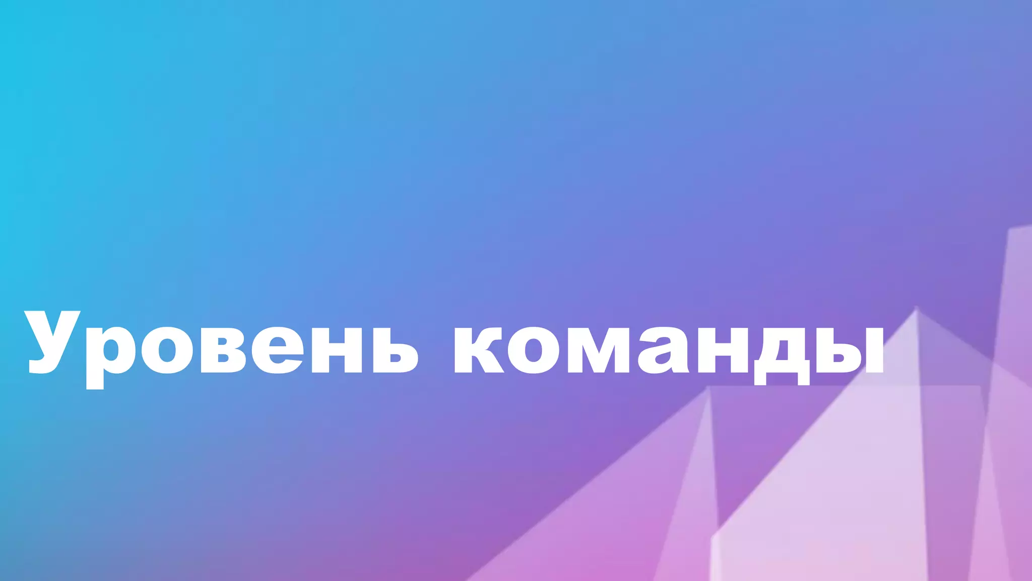 Уровень команды
 