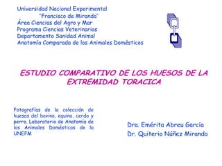 Universidad Nacional Experimental
‘’Francisco de Miranda’’
Área Ciencias del Agro y Mar
Programa Ciencias Veterinarias
Departamento Sanidad Animal
Anatomía Comparada de los Animales Domésticos
ESTUDIO COMPARATIVO DE LOS HUESOS DE LA
EXTREMIDAD TORACICA
Dra. Emérita Abreu García
Dr. Quiterio Núñez Miranda
Fotografías de la colección de
huesos del bovino, equino, cerdo y
perro. Laboratorio de Anatomía de
los Animales Domésticos de la
UNEFM
 