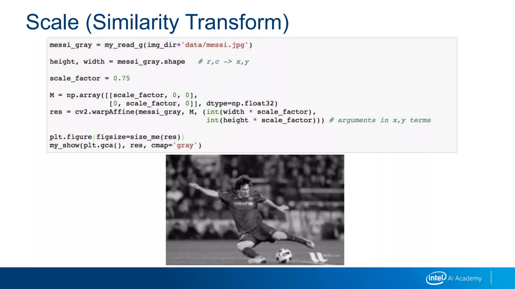 Scale (Similarity Transform)
 