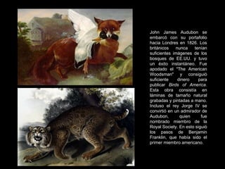 John James Audubon se embarcó con su portafolio hacia Londres en 1826. Los británicos nunca tenían suficientes imágenes de los bosques de EE.UU. y tuvo un éxito instantáneo. Fue apodado el "The American Woodsman" y consiguió suficiente dinero para publicar  Birds of America . Esta obra consistía en láminas de tamaño natural grabadas y pintadas a mano. Incluso el rey Jorge IV se convirtió en un admirador de Audubon, quien fue nombrado miembro de la Royal Society. En esto siguió los pasos de Benjamin Franklin, que había sido el primer miembro americano. 