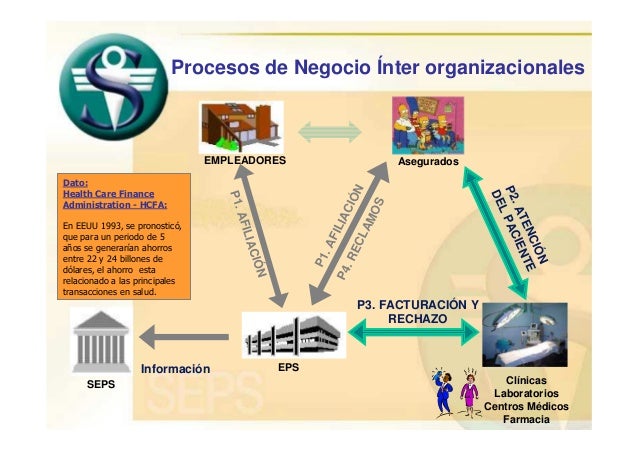Importancia del tedef seps Importancia del tedef seps