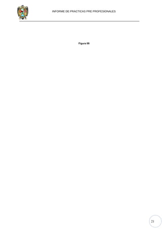 21
INFORME DE PRACTICAS PRE PROFESIONALES
Figura 08
 