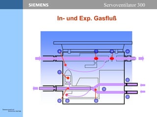 Servoventilator 300
In- und Exp. Gasfluß
9
6
8
7
5
2
10
1
3
4
11
 