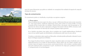 partir de exames laboratoriais, que podem ser realizados em consequência dos resultados de inspeções de campo de
                                                     produção de sementes.

                                                     Tipos de contaminantes

                                                     Os contaminantes podem ser classificados, em princípio, nas seguintes categorias:

                                                           1. Plantas atípicas
                                                           Trata-se de plantas da mesma espécie da cultura, mas que se diferenciam desta por uma ou mais característi-
Campo de sementes soja – presença de contaminante.         cas, como: tipo de planta, ramificação, pigmentação, pintas, pelos na haste ou na base da folha, cor, forma
Planta atípica.
                                                           e tamanho da flor ou partes dela; cor, tamanho e forma do fruto e da semente, ciclo de maturação etc. Os
                                                           descritores do cultivar sob cultivo, depositados no Registro Nacional de Cultivares (RNC), deverão ser utili-
                                                           zados como instrumento de observação das variações de plantas atípicas presentes.

                                                           Ao se classificar uma planta como atípica, deve-se considerar não só aquela indubitavelmente classificável
                                                           como tal, mas também aquelas não identificadas ou duvidosamente tidas como de outra cultivar.

                                                           Considera-se ainda planta atípica aquela que libera pólen, incluindo pendão polinizador, indesejável na pro-
                                                           dução de linhagens progenitoras de híbridos.

                                                           Na contagem de plantas durante a inspeção de campo, uma planta atípica será sempre classificada como tal,
                                                           independentemente de seu estádio de desenvolvimento. Plantas atípicas que não estejam causando conta-
                                                           minação à época da inspeção, mas que possam causá-la posteriormente, serão contadas e o produtor poderá
                                                           optar pela erradicação desses contaminantes ou pelo cancelamento do campo para a produção de sementes
                                                           e, consequentemente, de sua homologação.



   14
 