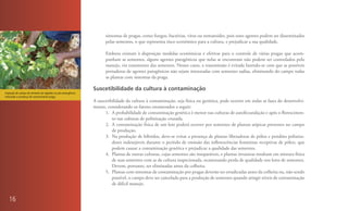 sintomas de pragas, como fungos, bactérias, vírus ou nematoides, pois esses agentes podem ser disseminados
                                                                  pelas sementes, o que representa risco econômico para a cultura, e prejudicar a sua qualidade.

                                                                  Embora existam à disposição medidas econômicas e efetivas para o controle de várias pragas que acom-
                                                                  panham as sementes, alguns agentes patogênicos que nelas se encontram não podem ser controlados pelo
                                                                  manejo, via tratamento das sementes. Nesses casos, a transmissão é evitada fazendo-se com que as possíveis
                                                                  portadoras de agentes patogênicos não sejam misturadas com sementes sadias, eliminando do campo todas
                                                                  as plantas com sintomas da praga.

                                                            Suscetibilidade da cultura à contaminação
Inspeção de campo de semente de algodão na pós-emergência
indicando a presença de contaminante praga.
                                                            A suscetibilidade da cultura à contaminação, seja física ou genética, pode ocorrer em todas as fases do desenvolvi-
                                                            mento, considerando os fatores enumerados a seguir:
                                                                  1. A probabilidade de contaminação genética é menor nas culturas de autofecundação e após o florescimen-
                                                                      to nas culturas de polinização cruzada.
                                                                  2. A contaminação física de um lote poderá ocorrer por sementes de plantas atípicas presentes no campo
                                                                      de produção.
                                                                  3. Na produção de híbridos, deve-se evitar a presença de plantas liberadoras de pólen e pendões poliniza-
                                                                      dores indesejáveis durante o período de emissão das inflorescências femininas receptivas de pólen, que
                                                                      podem causar a contaminação genética e prejudicar a qualidade das sementes.
                                                                  4. Plantas de outras culturas, cujas sementes são inseparáveis, e plantas invasoras resultam em mistura física
                                                                      de suas sementes com as da cultura inspecionada, ocasionando perda de qualidade nos lotes de sementes.
                                                                      Devem, portanto, ser eliminadas antes da colheita.
                                                                  5. Plantas com sintomas de contaminação por pragas deverão ser erradicadas antes da colheita ou, não sendo
                                                                      possível, o campo deve ser cancelado para a produção de sementes quando atingir níveis de contaminação
                                                                      de difícil manejo.


   16
 