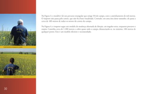 Na Figura 3, o modelo é de um percurso retangular que atinge 5/6 do campo, com o caminhamento de mil metros.
                                      O inspetor não passa pelo centro, que não fica bem visualizado. Contudo, em uma área deste tamanho, ele passa a
                                      cerca de 100 metros de todos os setores do centro do campo.

                                      Na Figura 4, o inspetor segue um modelo de mudança alternada de direção, em ângulos retos, enquanto percorre o
                                      trajeto. Caminha cerca de 1.280 metros e cobre quase todo o campo, distanciando-se, no máximo, 100 metros de
                                      qualquer ponto. Este é um modelo eficiente e recomendado.




Caminhamento na inspeção de campos.




Caminhamento na inspeção de campos.




 30
 