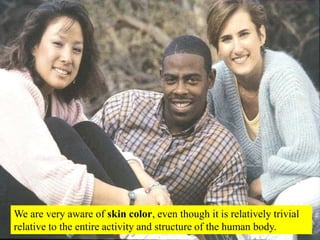 We are very aware of skin color, even though it is relatively trivial relative to the entire activity and structure of the...
